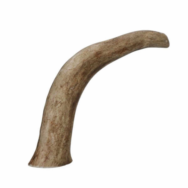 Viking Antler Hard Rothirschgeweih - L